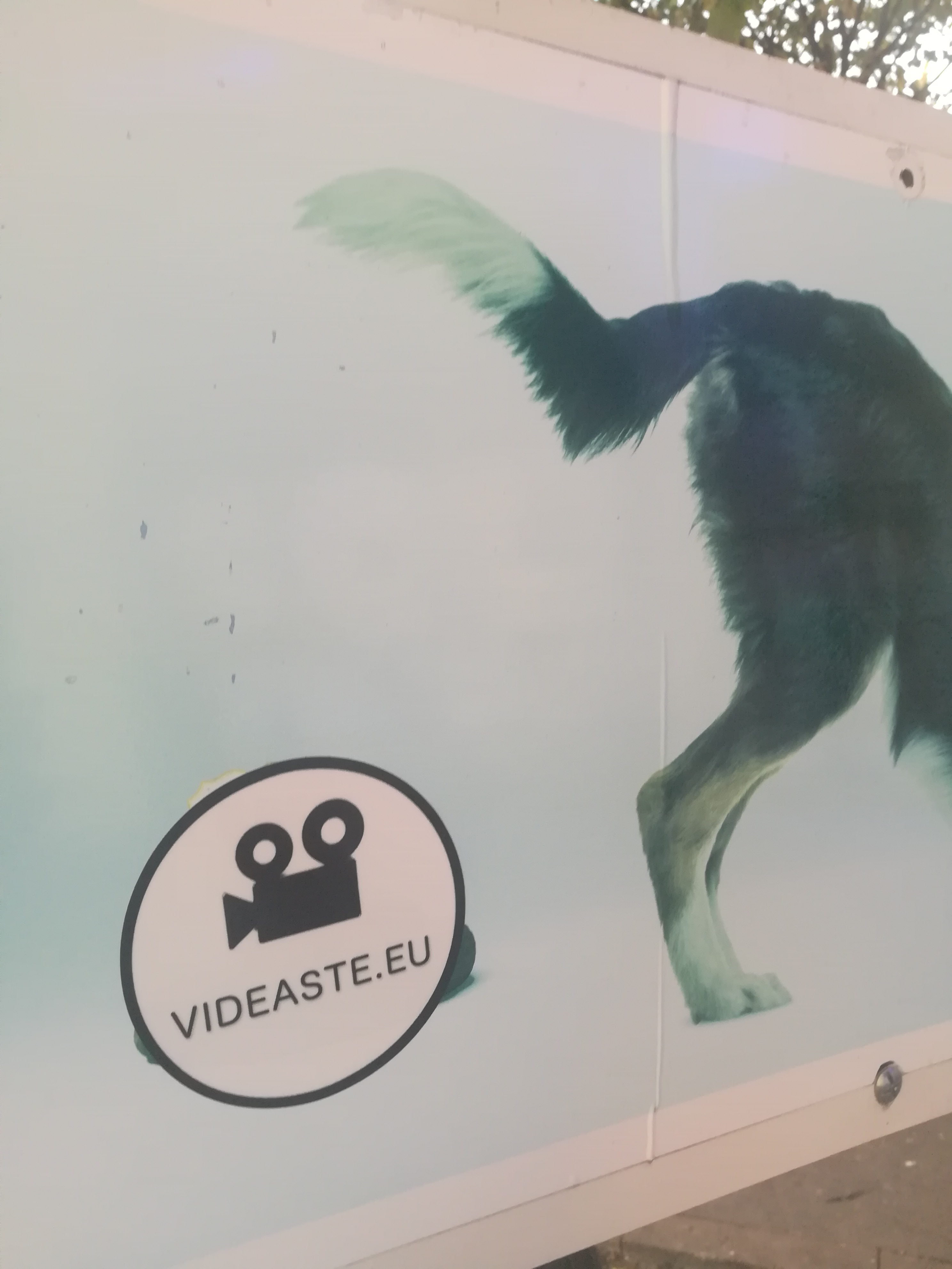 videaste.eu